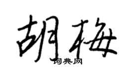 王正良胡梅行书个性签名怎么写