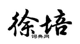 胡问遂徐培行书个性签名怎么写