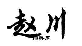 胡问遂赵川行书个性签名怎么写