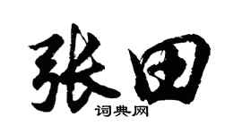 胡问遂张田行书个性签名怎么写