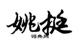 胡问遂姚挺行书个性签名怎么写