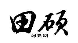 胡问遂田硕行书个性签名怎么写