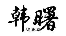 胡问遂韩曙行书个性签名怎么写