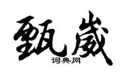 胡问遂甄崴行书个性签名怎么写