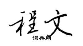 王正良程文行书个性签名怎么写