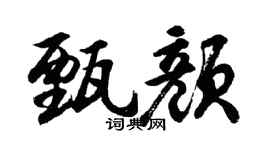 胡问遂甄颜行书个性签名怎么写