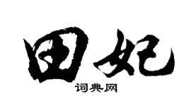 胡问遂田妃行书个性签名怎么写