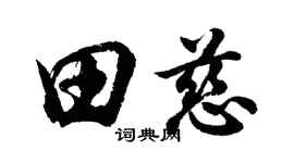 胡问遂田慈行书个性签名怎么写