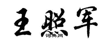 胡问遂王照军行书个性签名怎么写