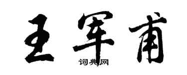 胡问遂王军甫行书个性签名怎么写