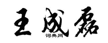 胡问遂王成磊行书个性签名怎么写