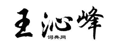 胡问遂王沁峰行书个性签名怎么写