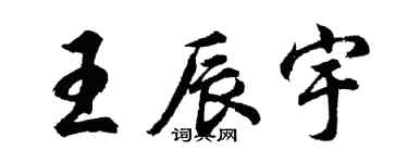 胡问遂王辰宇行书个性签名怎么写