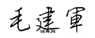 王正良毛建军行书个性签名怎么写