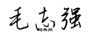 王正良毛志强行书个性签名怎么写