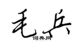 王正良毛兵行书个性签名怎么写