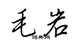 王正良毛岩行书个性签名怎么写