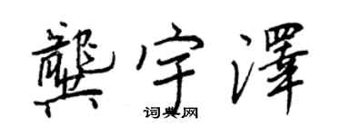 王正良龚宇泽行书个性签名怎么写