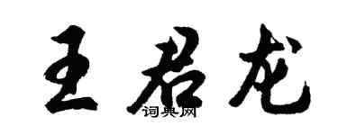 胡问遂王君龙行书个性签名怎么写