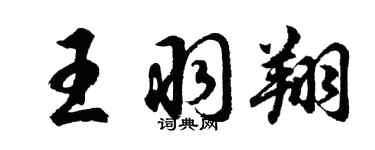 胡问遂王羽翔行书个性签名怎么写