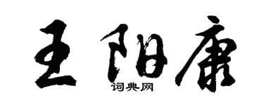 胡问遂王阳康行书个性签名怎么写