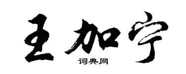 胡问遂王加宁行书个性签名怎么写