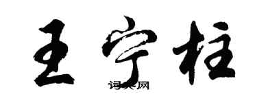 胡问遂王宁柱行书个性签名怎么写
