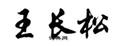 胡问遂王长松行书个性签名怎么写