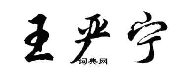 胡问遂王严宁行书个性签名怎么写