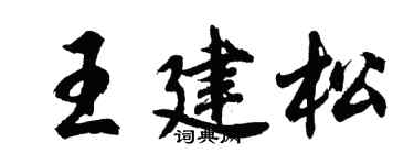 胡问遂王建松行书个性签名怎么写