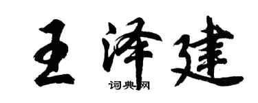 胡问遂王泽建行书个性签名怎么写