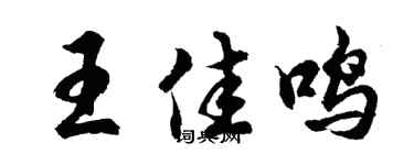 胡问遂王佳鸣行书个性签名怎么写