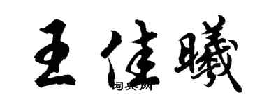 胡问遂王佳曦行书个性签名怎么写