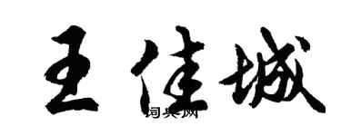 胡问遂王佳城行书个性签名怎么写