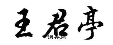 胡问遂王君亭行书个性签名怎么写