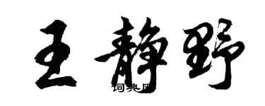 胡问遂王静野行书个性签名怎么写