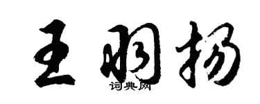 胡问遂王羽扬行书个性签名怎么写