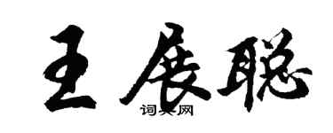 胡问遂王展聪行书个性签名怎么写