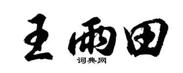 胡问遂王雨田行书个性签名怎么写