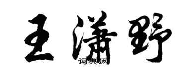 胡问遂王潇野行书个性签名怎么写