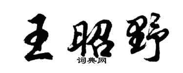 胡问遂王昭野行书个性签名怎么写