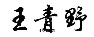 胡问遂王青野行书个性签名怎么写