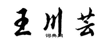 胡问遂王川芸行书个性签名怎么写