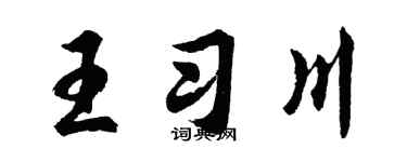 胡问遂王习川行书个性签名怎么写