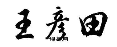 胡问遂王彦田行书个性签名怎么写