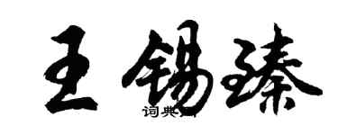 胡问遂王锡臻行书个性签名怎么写