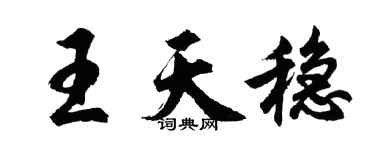 胡问遂王天稳行书个性签名怎么写