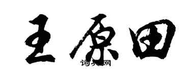 胡问遂王原田行书个性签名怎么写