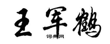 胡问遂王军鹤行书个性签名怎么写