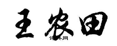 胡问遂王农田行书个性签名怎么写